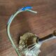 Lustre pampilles D24