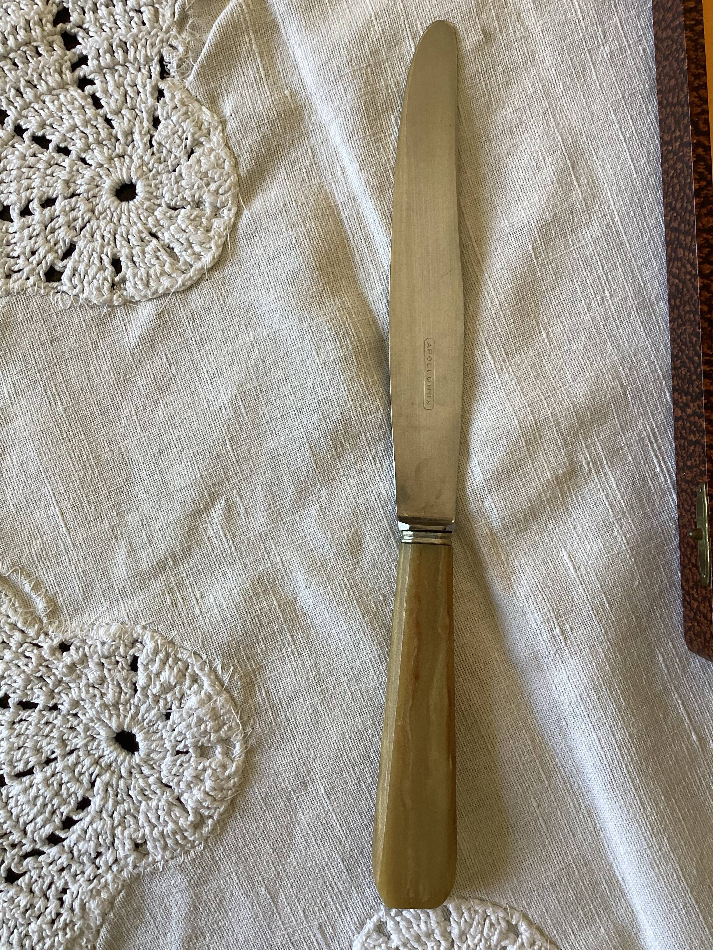 Set of 11 Apollonox table knives in a box