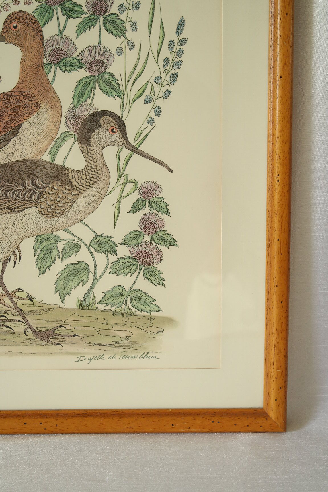 Tableau vintage aquarelle ducks of terronblan monbaly dayelle