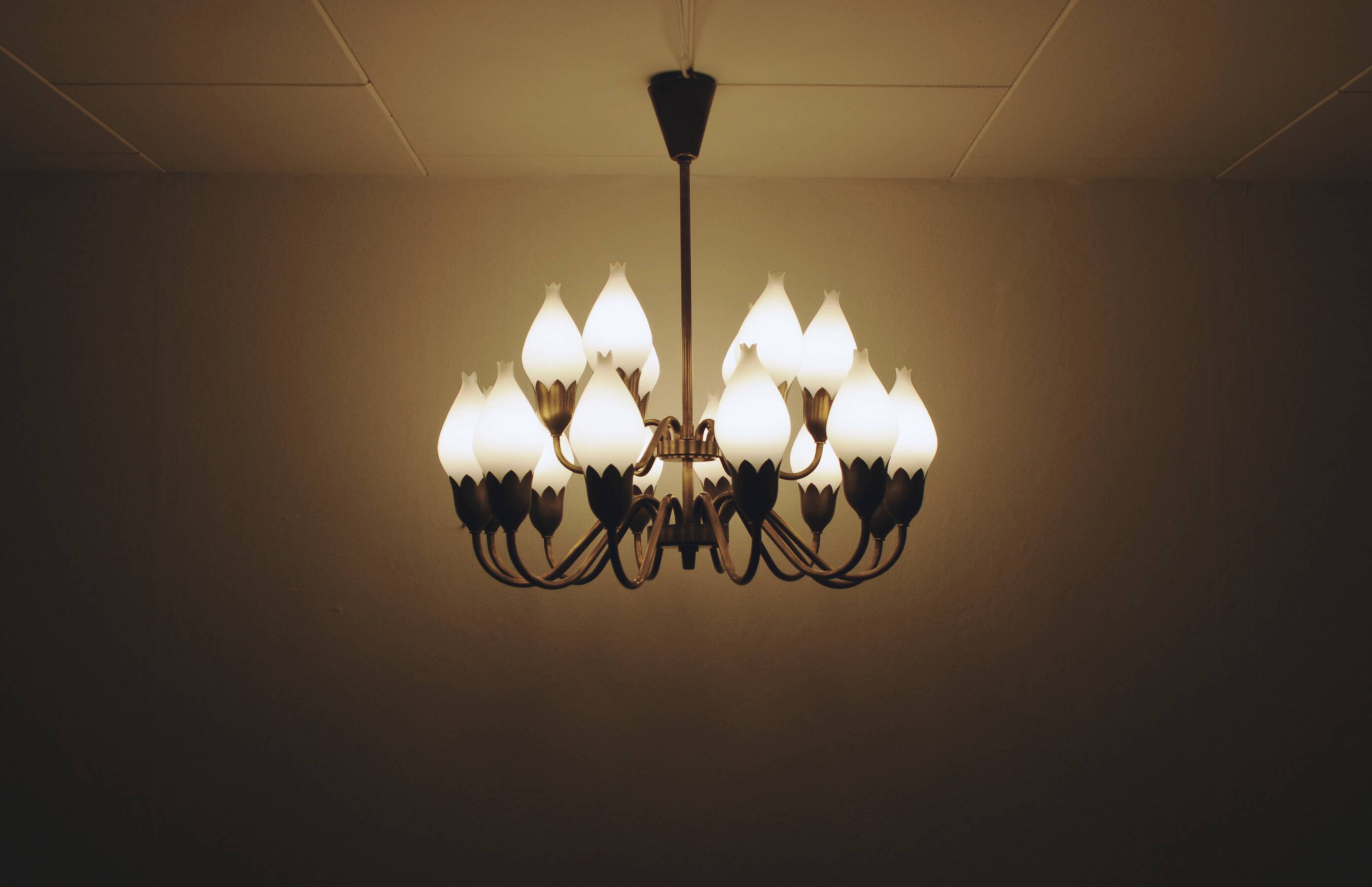 Fog & Mørup 18-Arm Brass and Opaline Glass Tulip Chandelier