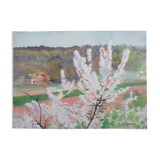 Cherry blossom branch. Gouache on signed paper