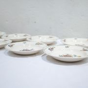 Series of 8 vintage hollow plates edited by Villeroy and Boch