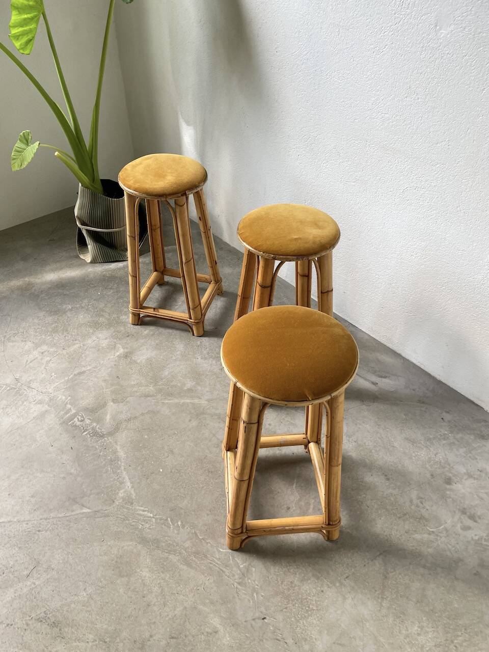 Set of three rattan high stools
