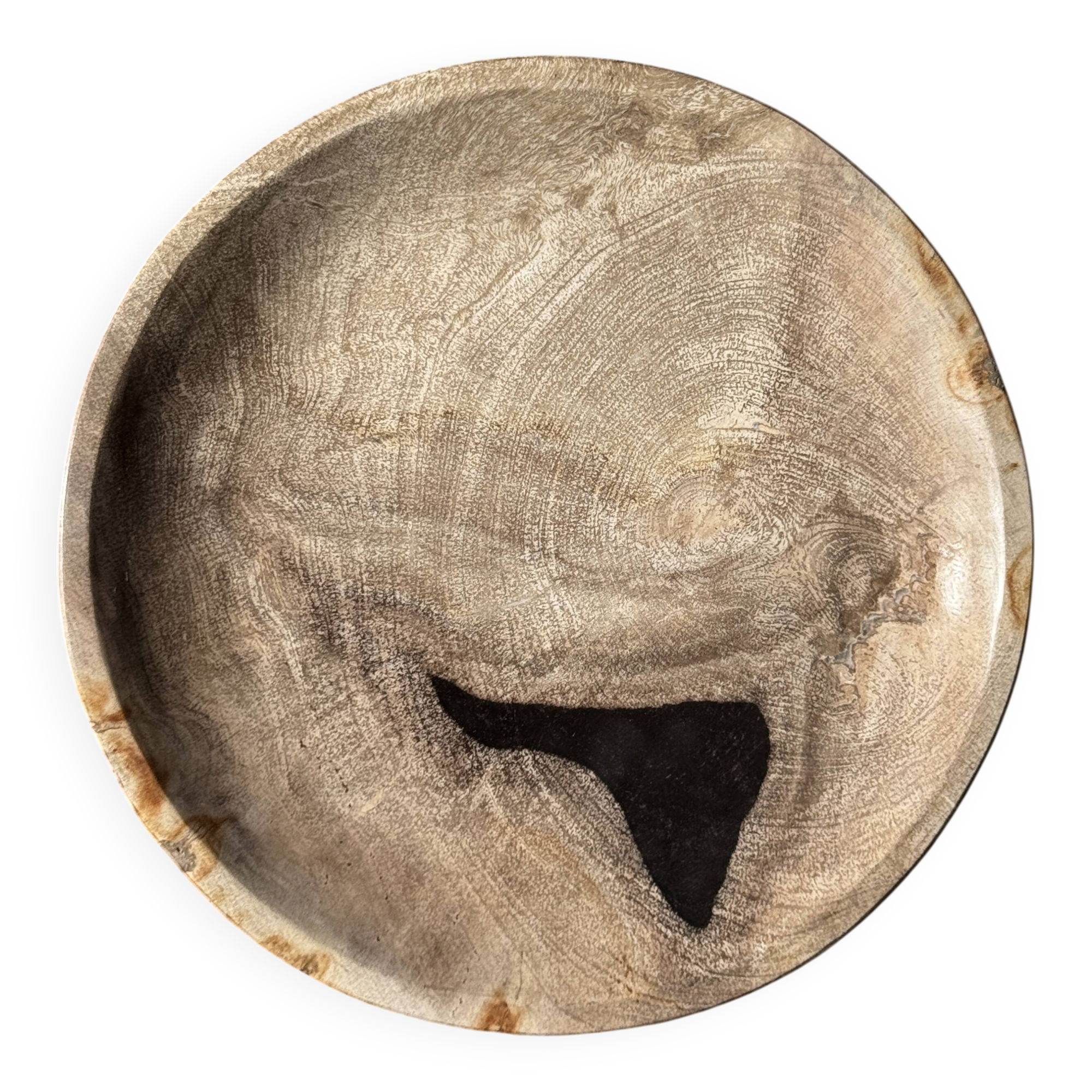 Vide poche, plat ou assiette circulaire en bois pétrifié beige tache noire