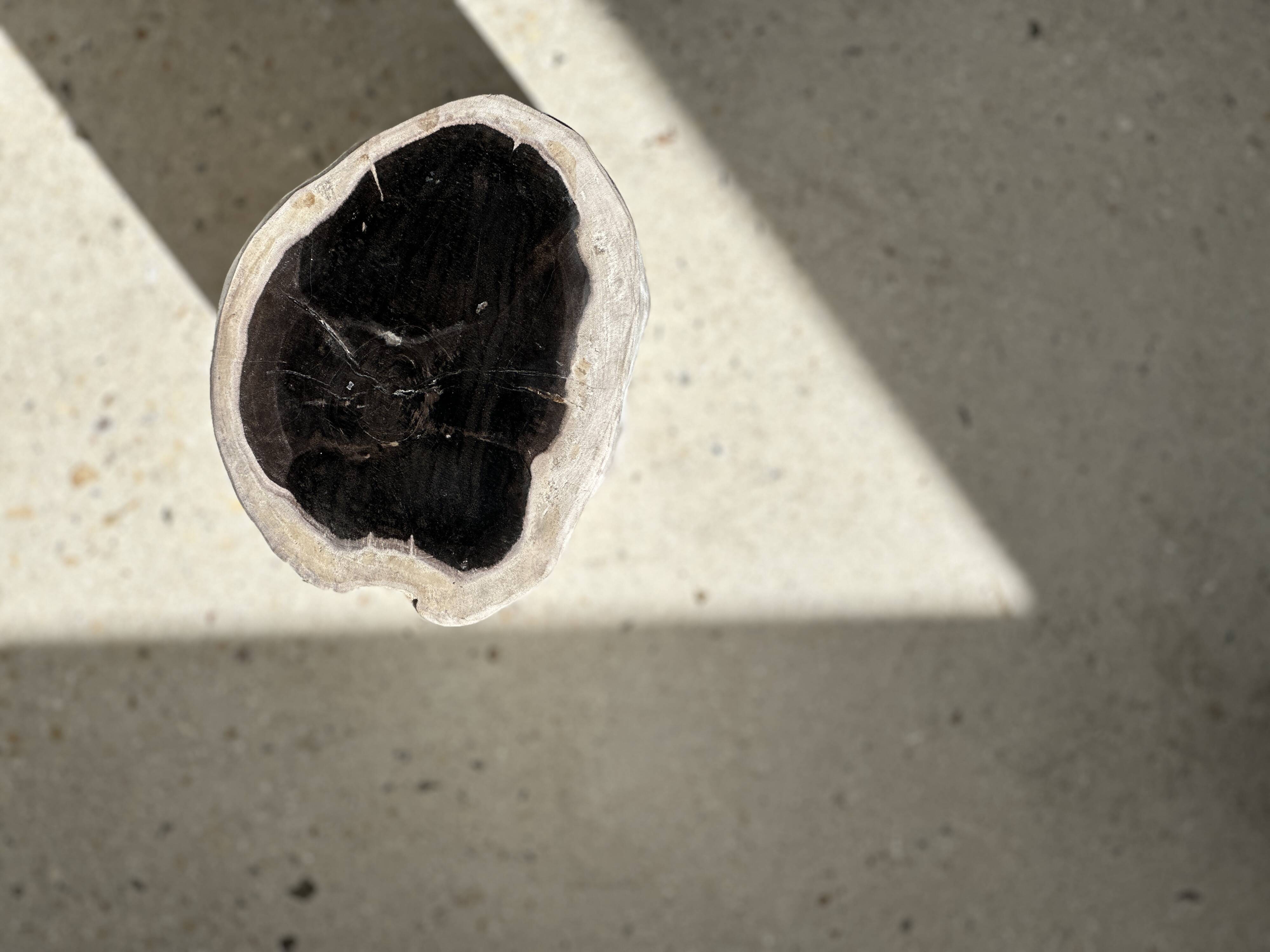 Petrified wood side table white tower black heart H:36cm D:17cm