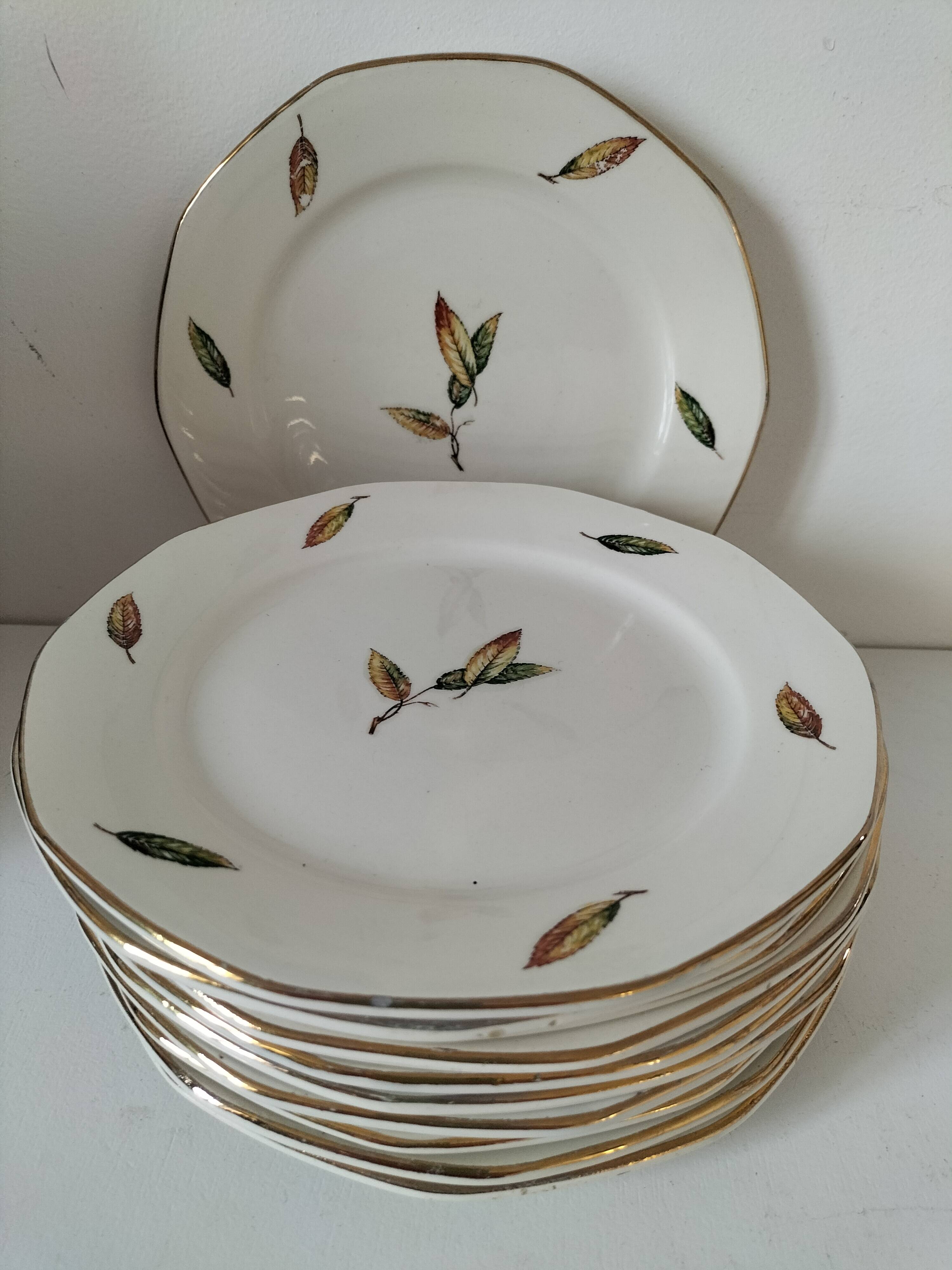 Digoin Sarreguemines Nemours Model Plates.