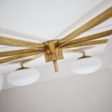 Lustre cosmos stella collection