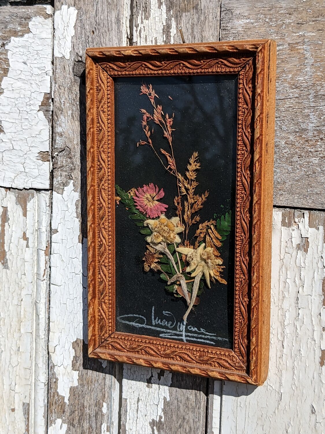 Vintage Cana of dried flowers with Edelweiss