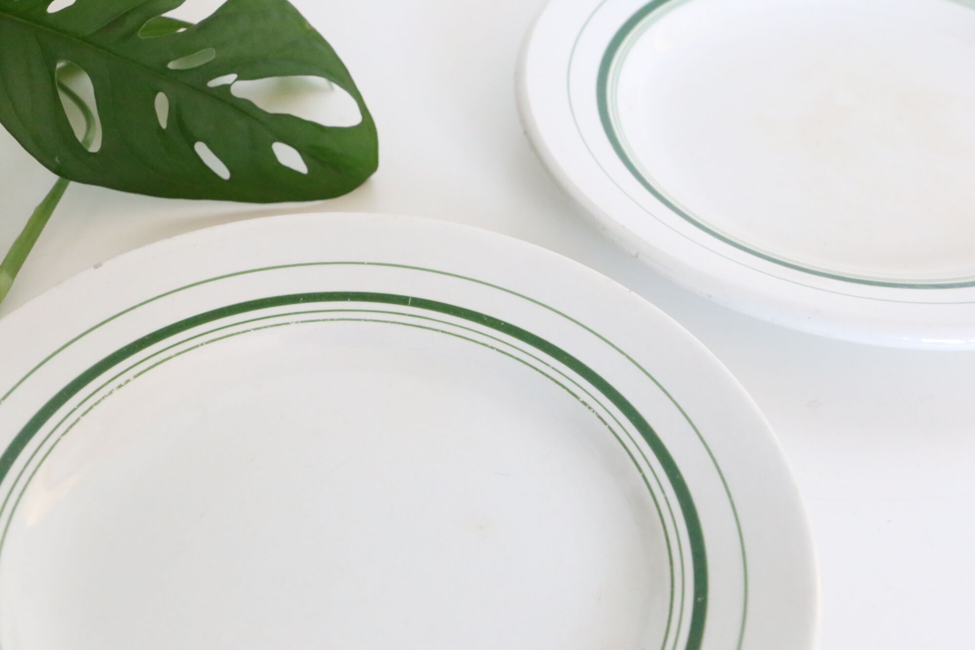 Set of 4 mouin des Loups plate, green motif, French vintage, rustic, countryside