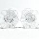 Baccarat - 2 White Wine Glasses - Harcourt Model
