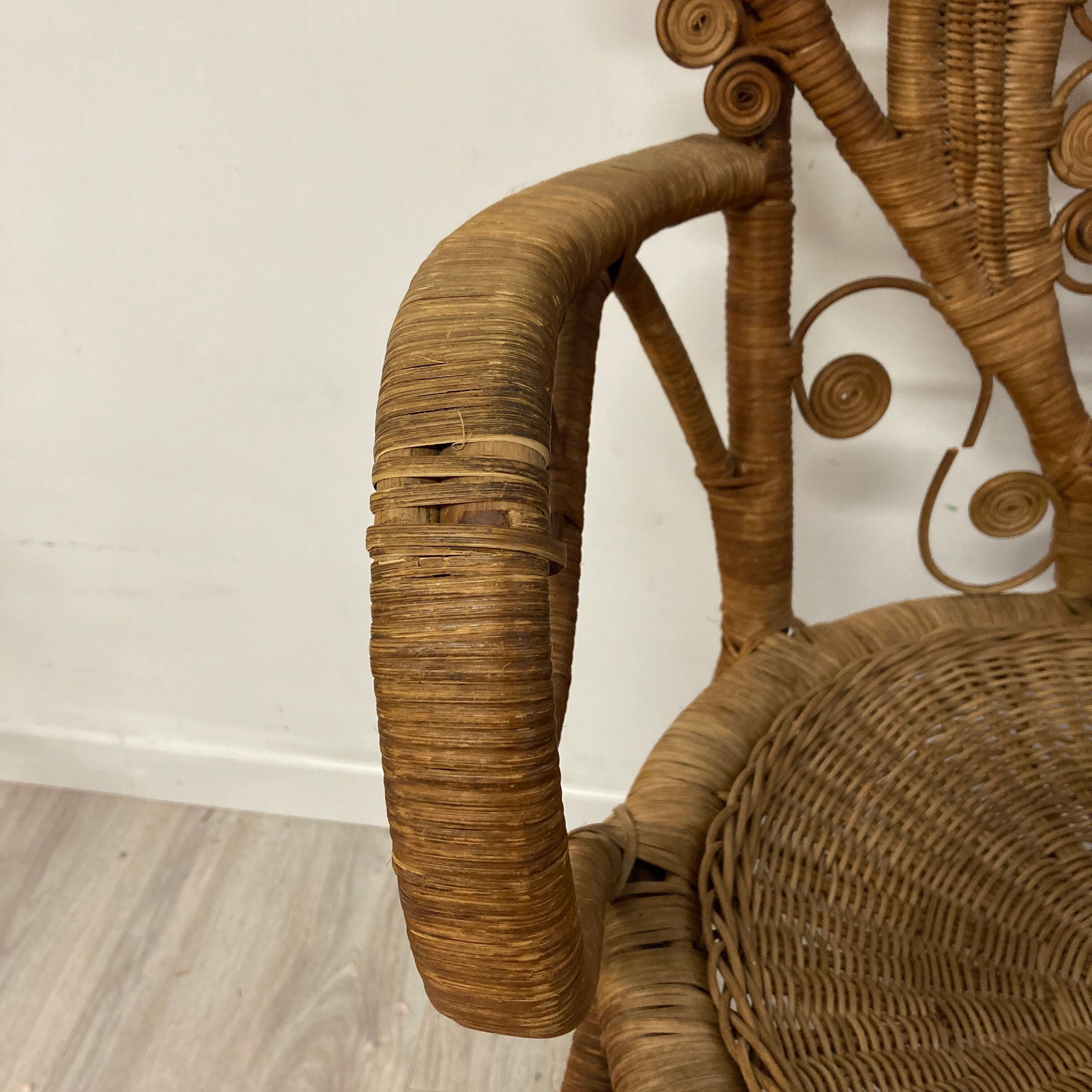 Peacock chair with armrests