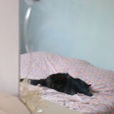 Bevelled, chiseled, antique, art deco wall mirror