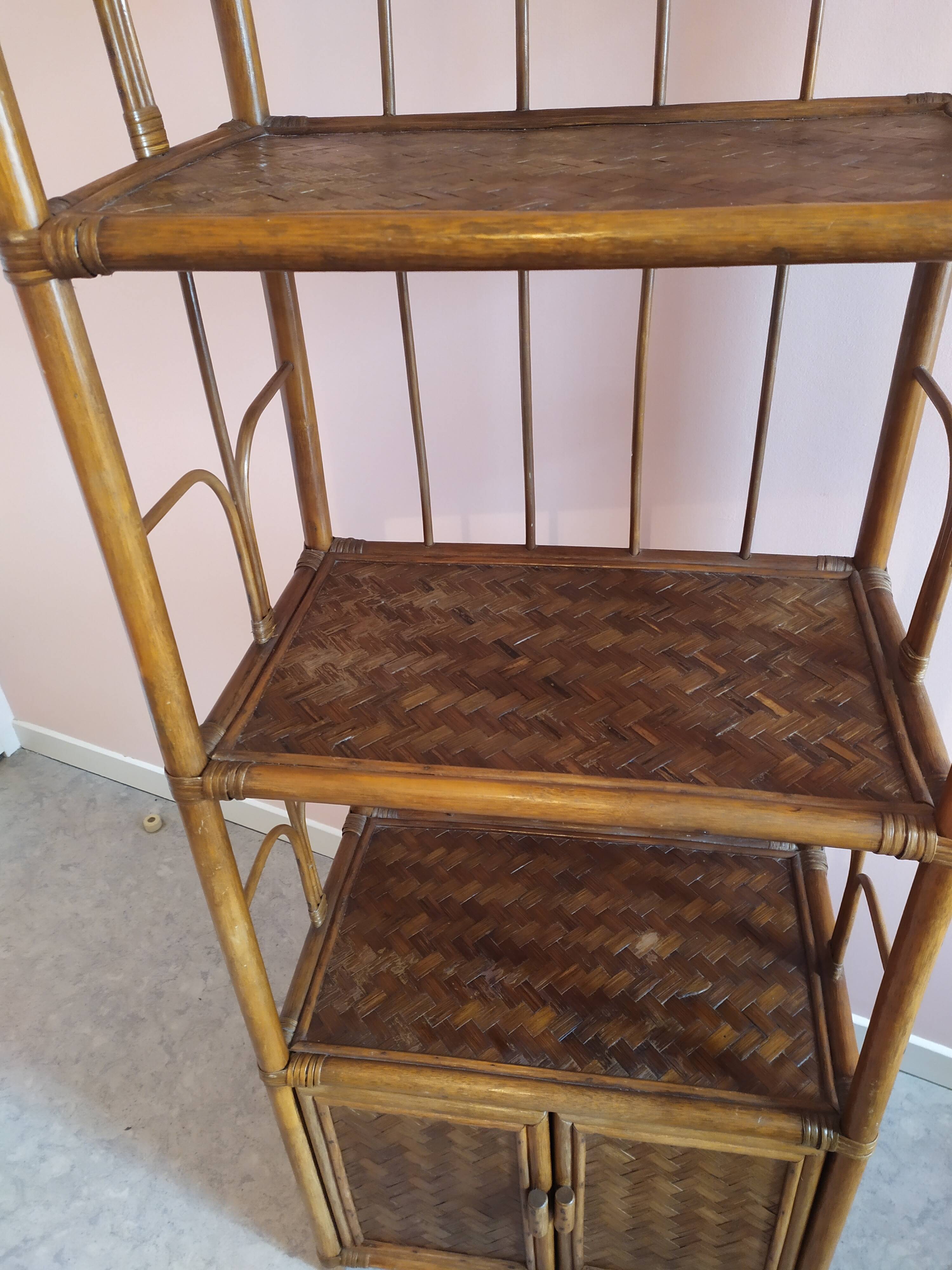 Rattan and bamboo library