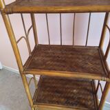 Rattan and bamboo library