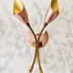 Vintage 1950s brass double wall sconce in the Italian Stilnovo style