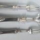 10 silver serving cutlery, Minerva hallmark + rosewood case, 19th century. C730