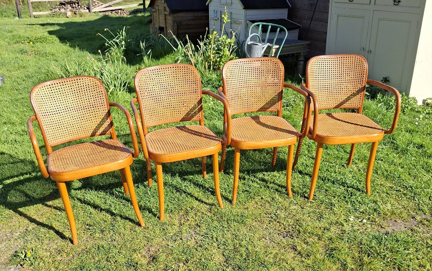 Lot de 4 fauteuils Prague 811 de Thonet