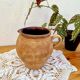 Ancien pot en terre cuite