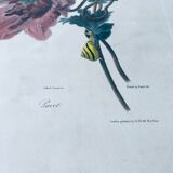 Ancient lithograph framed flower and snail