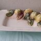 Chaumette Italy lemon barbotine dish