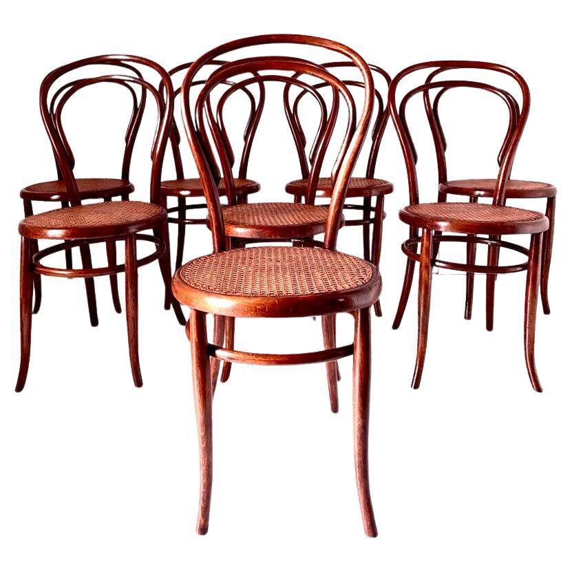Bentwood and cane dining chairs, set of eight, Jacob & Josef Kohn, Austria 1900s