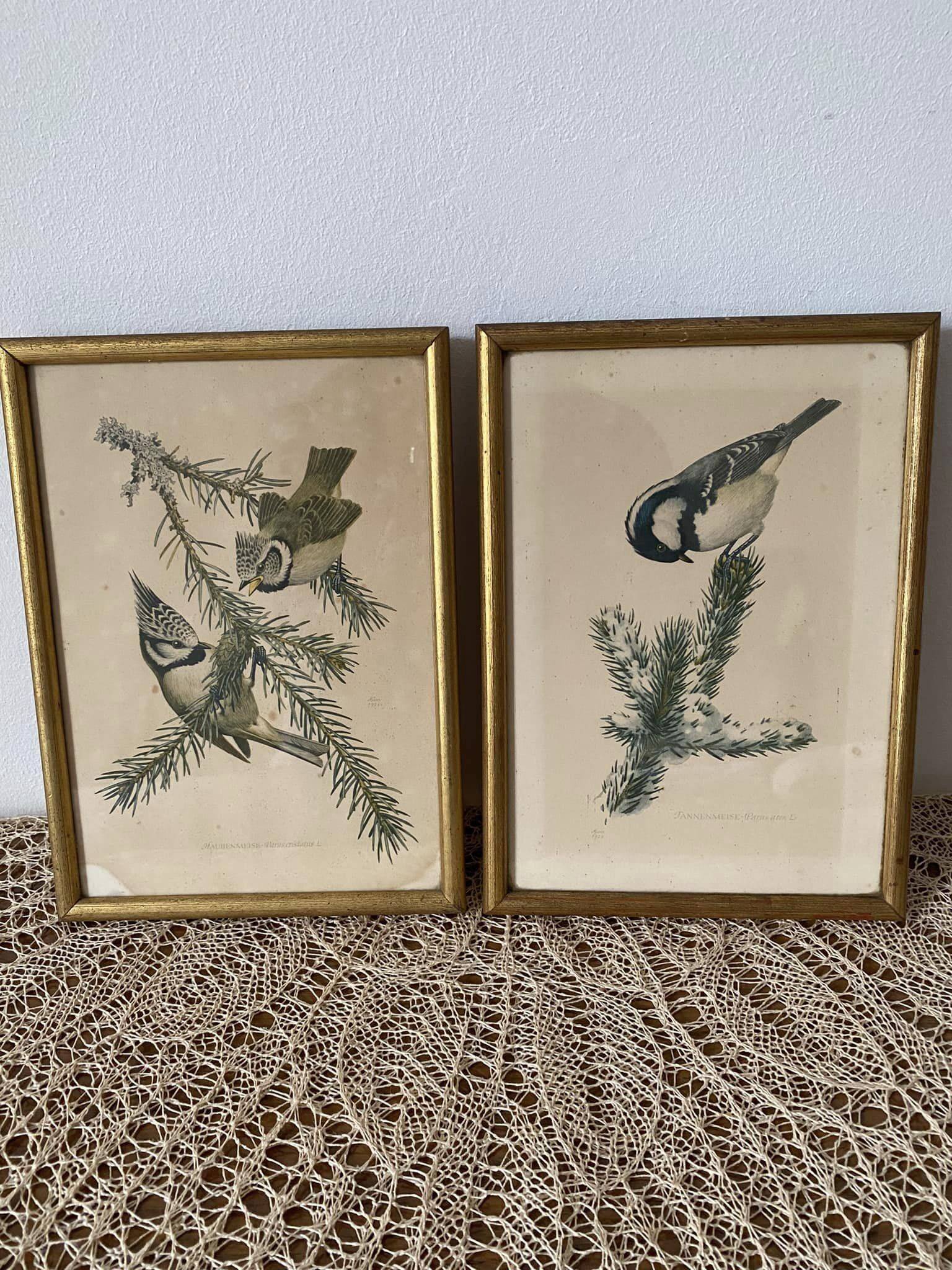 Duo of paintings signed Murr 1956 representing birds. Gilded wooden frame. Under glass.