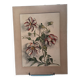Watercolor flowers