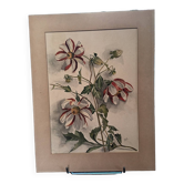 Watercolor flowers