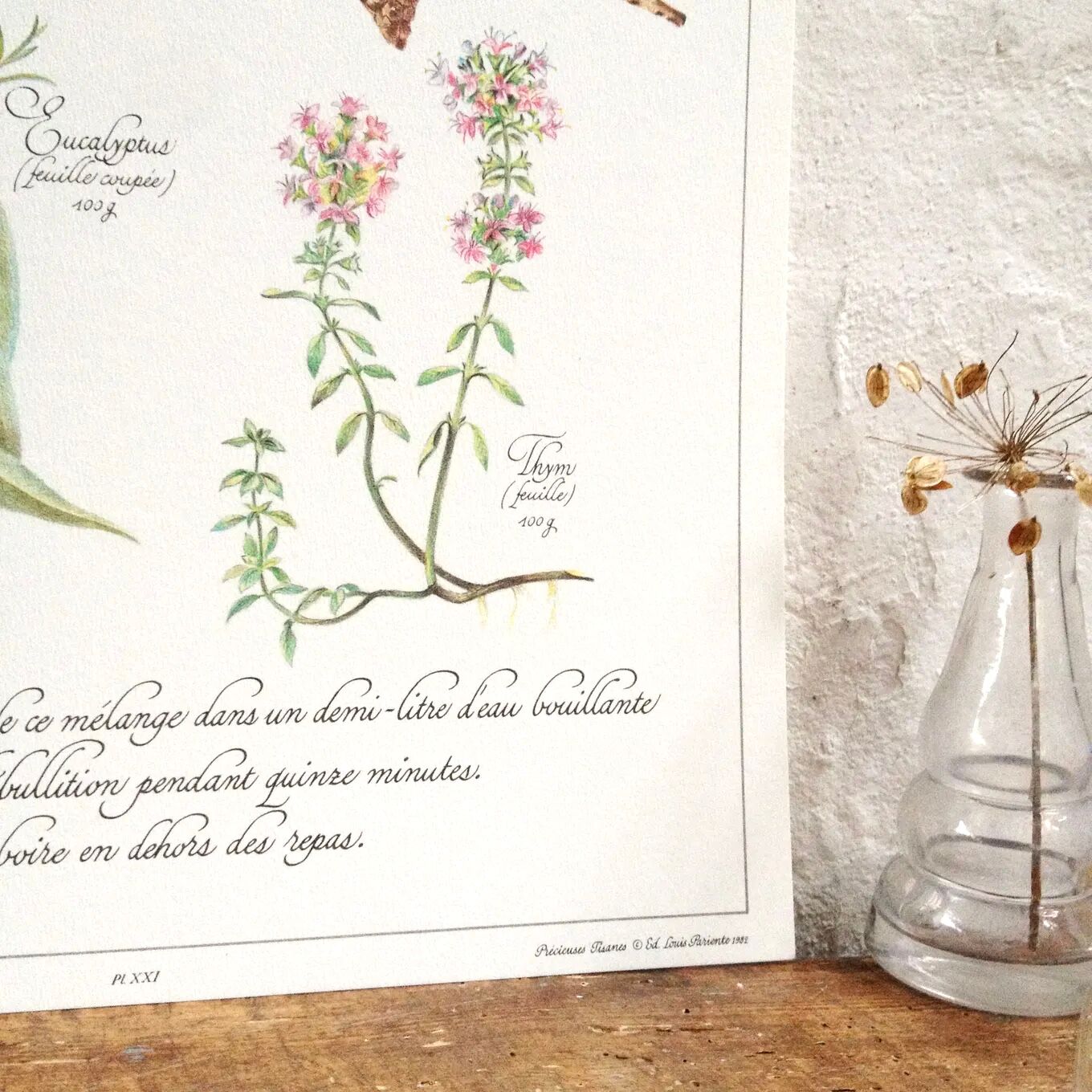 Botanical herbal tea