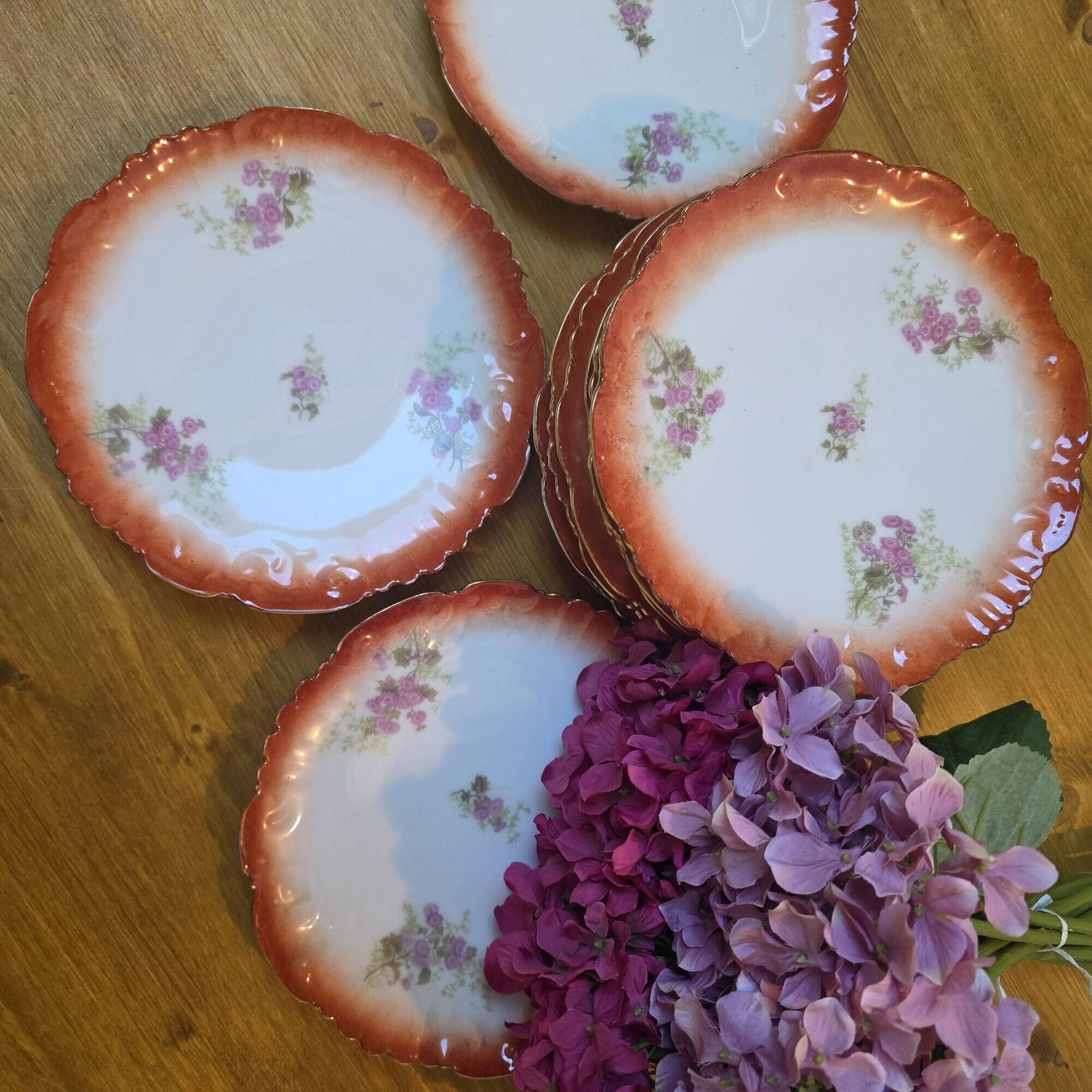 10 scalloped plates in French porcelain