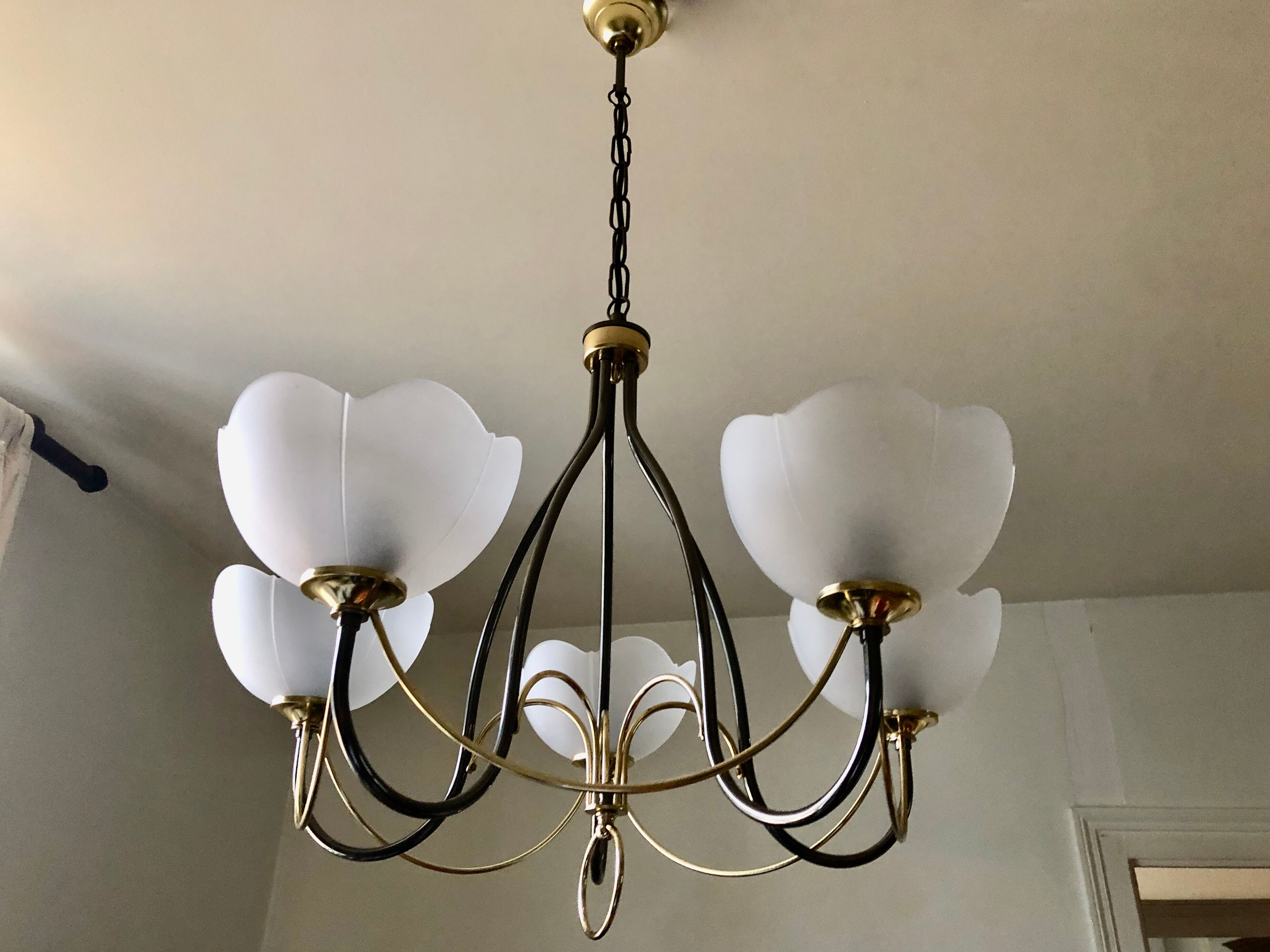 Italian chandelier gray and gold frosted glass flower