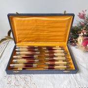 12 vintage Pradel stainless steel bakelite knives