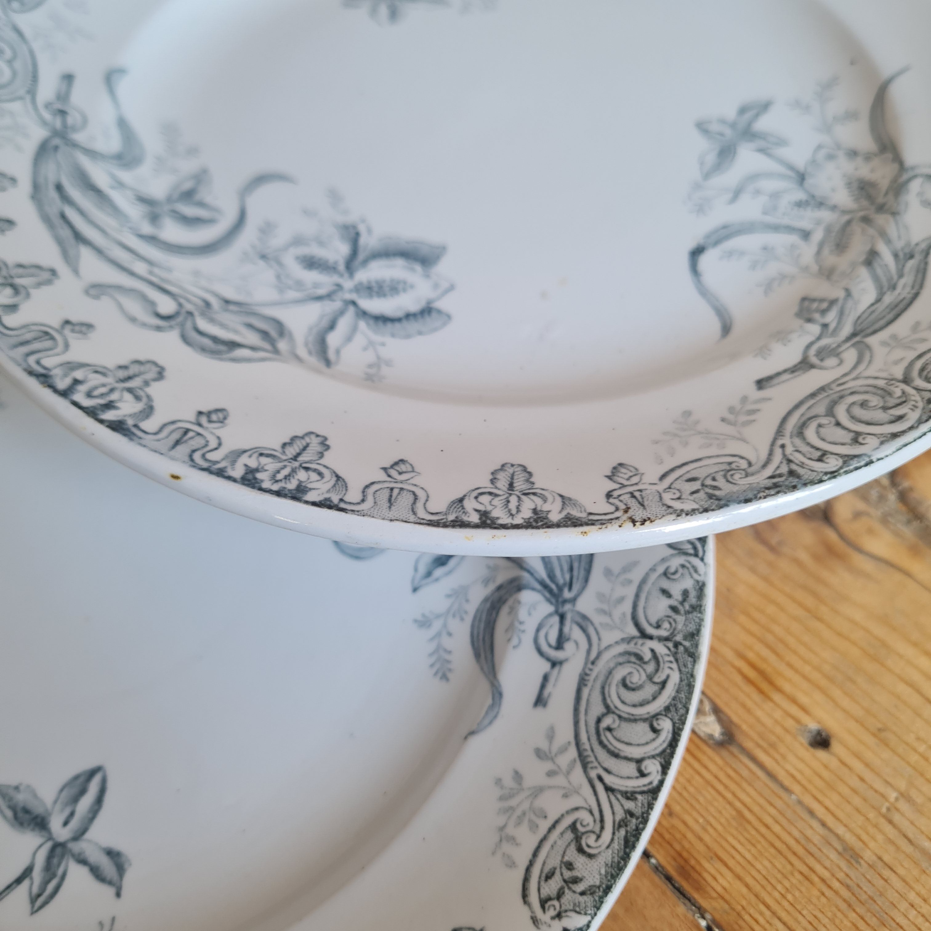 Set of 10 plates in iron earth