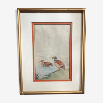 Ancien tableau dessin aquarelle vue canards + cadre doré vintage