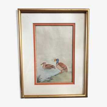 Old painting drawing watercolor duck view + vintage golden frame