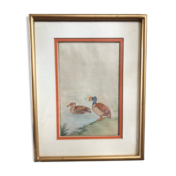 Old painting drawing watercolor duck view + vintage golden frame