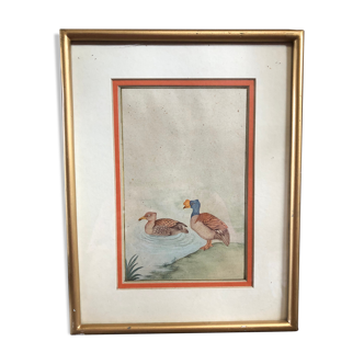 Ancien tableau dessin aquarelle vue canards + cadre doré vintage