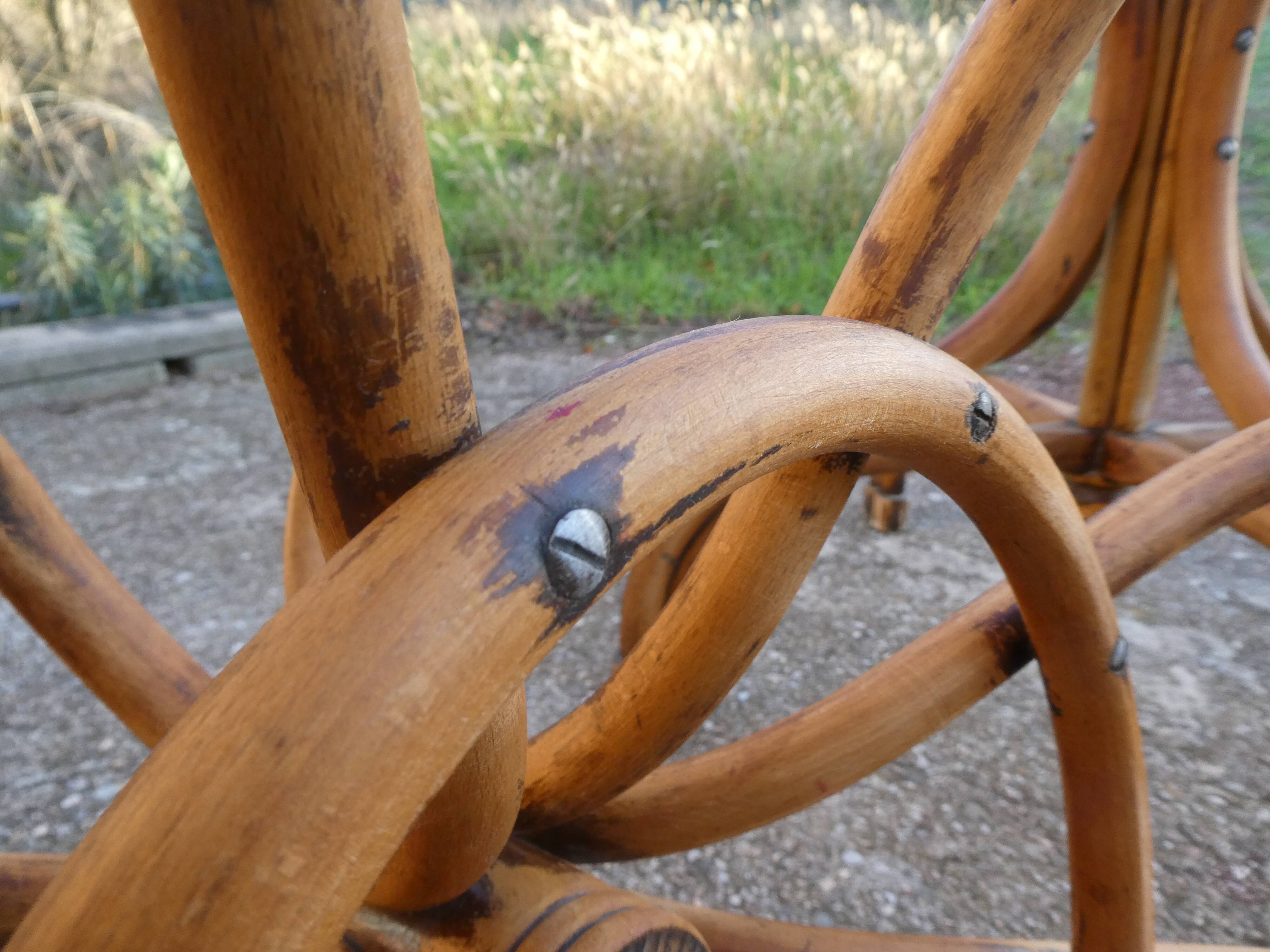 Parrot coat rack in curved wood - Art Nouveau
