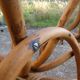Parrot coat rack in curved wood - Art Nouveau