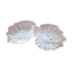Coupe coquillage en verre transparent 1970