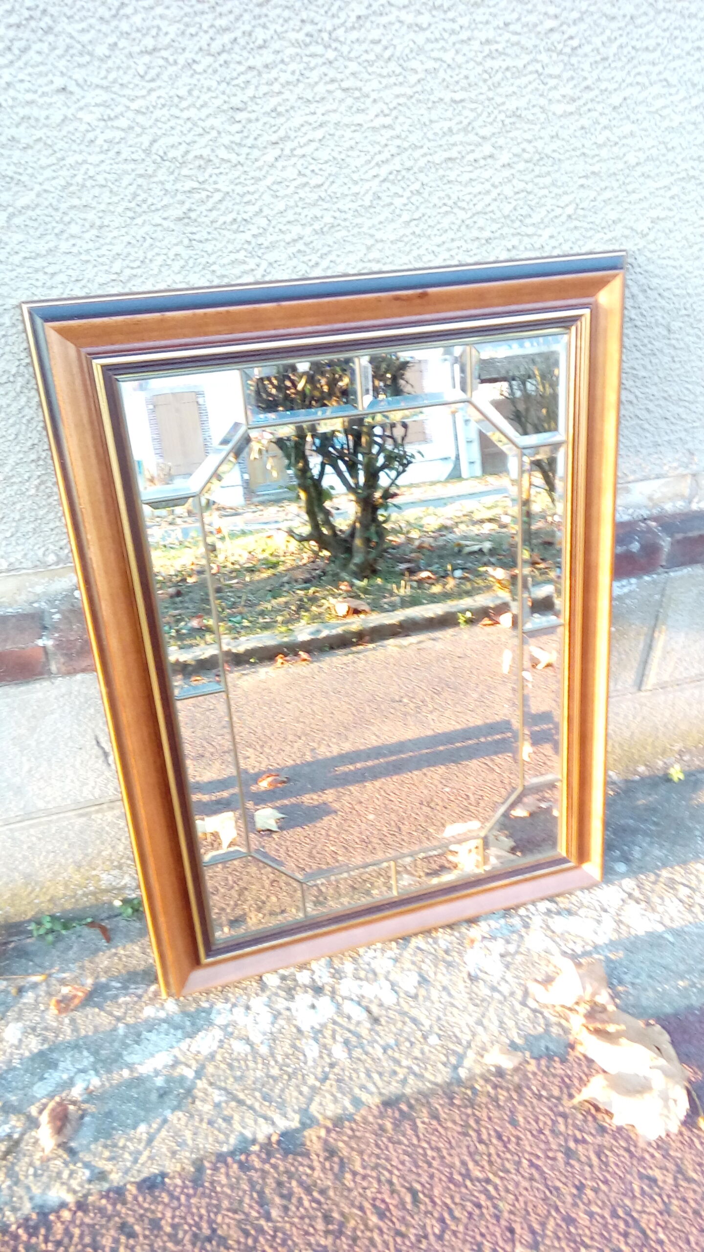 Beveled mirror 64x82cm