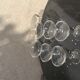 6 coupes à champagne en verre transparent vintage