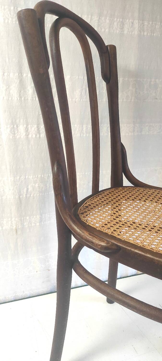 Bistro chair in curved wood and canework - early 20th century