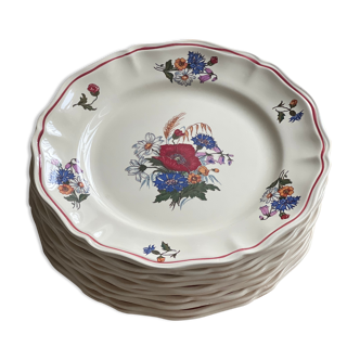 10 assiettes plates Sarreguemines Agreste