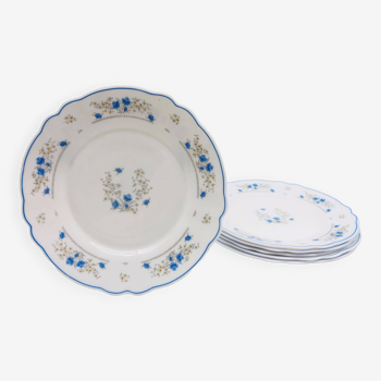 6 “Arcopal” dessert plates with flower patterns