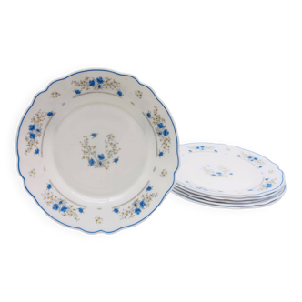 6 “Arcopal” dessert plates with flower patterns