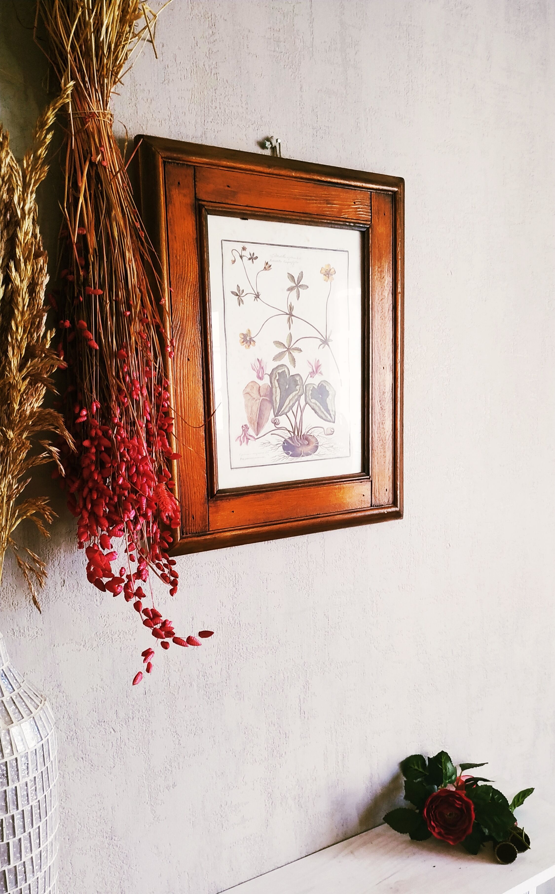 Lithographic botanical board frame