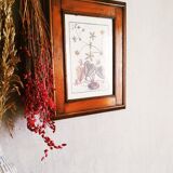 Lithographic botanical board frame
