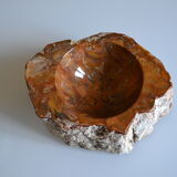 Empty pocket or ashtray in fossilized wood
