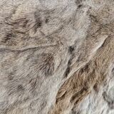 Retro animal skin rug